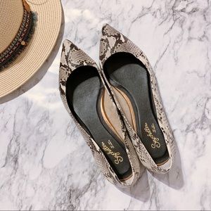 Seychelles Flats